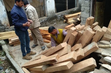 डीएफओ की टीम ने अम्बोया में छापेमारी कर अवैध रूप से चल रही आरा मशीन सीज की। अवैध लकड़ी के 95 नग भी मौके से बरामद।