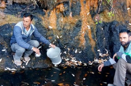 पढ़िये… कौन सा उप गांव नोटा इस्तेमाल करने पर कर रहा मंथन/…इस गांव के ग्रामीण पेयजल को तरस रहे /…  मजबूरन ग्रामीण पशुओं की बावड़ी का गन्दा पानी इस्तेमाल कर रहे।