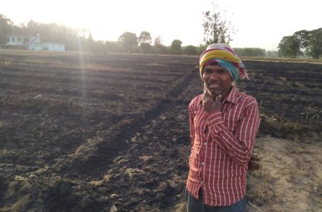 आज… फफक फफक कर आंसू बहाने लगे किसान/देखते ही देखते अमरकोट-निहालगढ़ में 70 बीघे में गेहू की फसल स्वाह/… लाखो की क्षति/… बिजली तारो की स्पार्किंग से लगी आग |