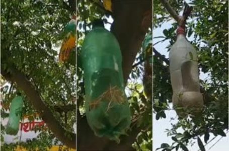 अरे वाह … विज्ञान प्रवक्ता संजीव अत्री के मार्गदर्शन से बच्चो ने बेकार बोतलों से बनाया पक्षियों का आशियाना