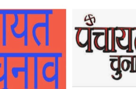 17 नंवबर को पंचायती राज संस्थाओं के 17 रिक्त पदों के लिए मतदान:  उपायुक्त