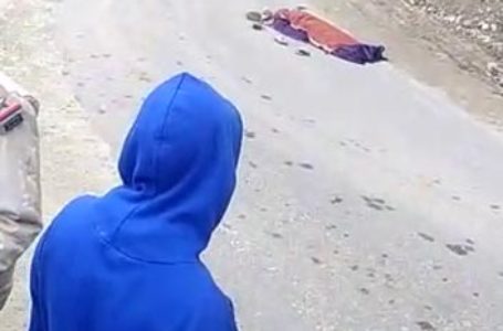 घास काट रही महिला की पहाड़ी से गिरकर मौत हो गई |