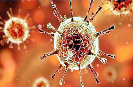 कोरोना वायरस का कहर,भारत में पिछले 24 घंटे में 472 नए मामले सामने आए |