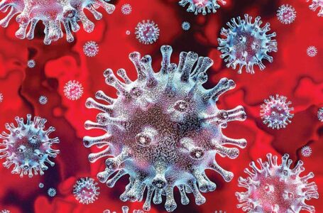 पीजीआई में महिला की  मौत के बाद बद्दी में कई लोगों पर वायरस के संक्रमण का खतरा ,प्रशासन हाई अलर्ट ।