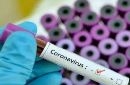 Coronavirus : प्रदेश में गुरुवार को 21 कोरोना पॉजिटिव मामले आए