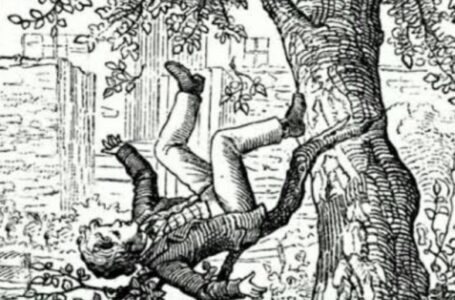 भलौना निवासी तुलसीराम की पेड़ से गिरने से मृत्यु ,प्रशासन ने जारी की 50,000 की राहत राशि