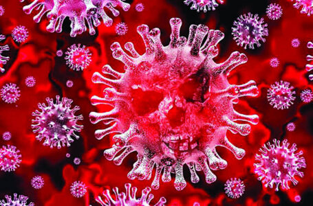 प्रदेश में कोरोना वायरस के दो और मामले, 35 पहुंची संख्या