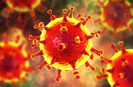 Coronavirus: हिमाचल में चार नए संक्रमित,सक्रिय मामलों की संख्या पहुची 30