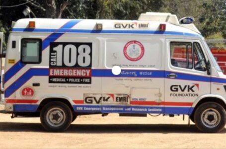 ददाहू में 108 Ambulance में सफल प्रसव