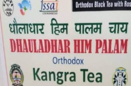 पालमपुर में कई गुणों से भरपूर धौलाधार हिम पालम चाय उतारेगा  बाजार में |