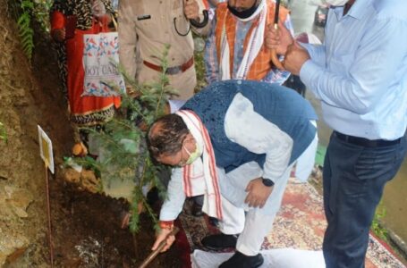सुरेश भारद्वाज ने भाजपा मंडल शिमला वन विभाग द्वारा आयोजित पौधारोपण कार्यक्रम में भाग लिया