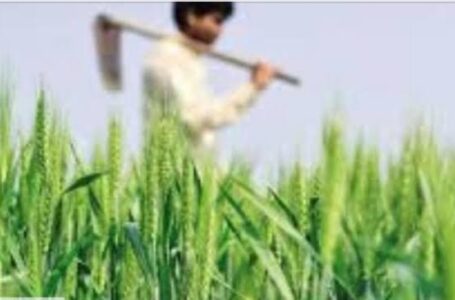 अब प्राकृतिक खेती करने वालो किसानों का होगा सर्टिफिकेशन