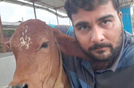 गौरक्षा के नाम पर सिर्फ राजनीतिक रोटियां सेकने वालों के लिए युवा पत्रकार सचिन का करारा जवाब