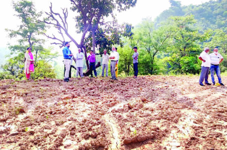 सिरमौर में वर्तमान में जारी सूखे से खेतों में नमी की समस्या खड़ी, जिसके चलते फलों की नर्सरी ग्रॉथ पर असर पड़ा