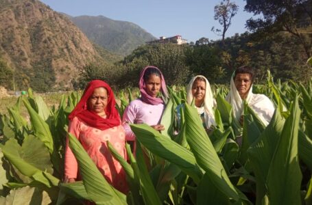 पलाशला गांव की ग्रामीण महिलाएं स्वयं सहायता समूह से जुड़ कर हो रहीं आर्थिक सशक्तिकरण की ओर अग्रसर