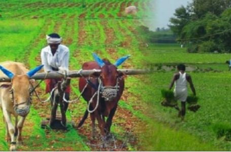 सिरमौर के किसान 31 दिसम्बर तक रबी मौसम की फसलों का कर सकेगे बीमा