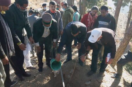 किंकरी देवी पार्क में पंचायत प्रतिनिधियों ने देवदार व बान के अलावा सजावटी तथा फलदार पौधे भी लगाए