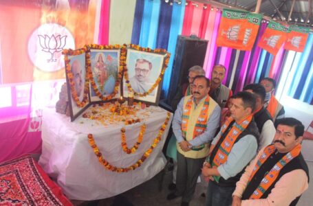 बीजेपी मण्डल शिलाई के प्रशिक्षको के लिए दो दिवसीय प्रशिक्षण शिविर