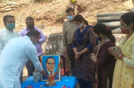 सतौन में डॉक्टर भीम राव अंबेडकर की 130वीं जयंती बड़े धूमधाम से मनाई
