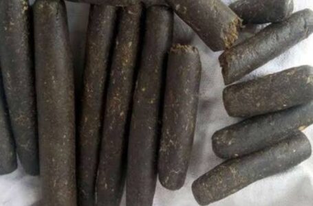 मोटरसाइकिल पर ले जा रहे 400gm चरस व 206 ग्राम अफीम के साथ दो आरोपी गिरफ्तार
