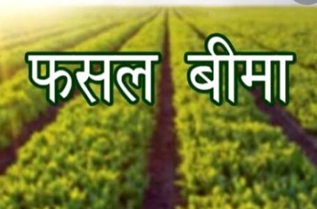 सिरमौर के किसान 15 जुलाई तक मक्की व धान की फसलों का करवा सकेंगे बीमा