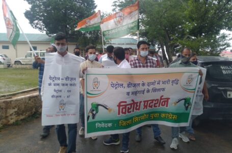 पेट्रोल डीजल के बढ़ते दामों पर युवा कांग्रेस शिलाई ने प्रदेश सरकार के खिलाफ धरना प्रदर्शन कर नारेबाजी की
