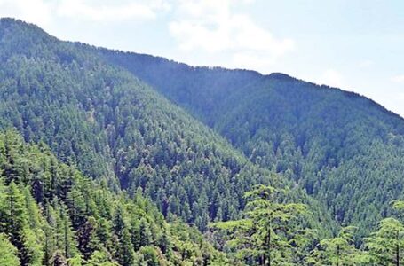 हिमाचल में 9.43 वर्ग किलोमीटर बढ़ा पेड़ो का घनत्व