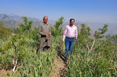 कृषि विभाग की टीम ने किया लहसुन के खेतों का निरीक्षण