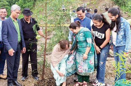 एनएच किनारे रोपे 5500 पौधे, हरियाली रोपने का शुरू किया अभियान, ग्रामीणों व बच्चों ने भी निभाई भूमिका