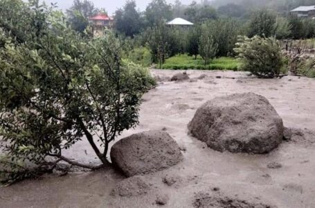 तेज बारिश  होने से नदी-नालों में आई बाड , सेब बागीचों सहित खेत तबाह ,किन्नौर में फिर कुदरत का कहर