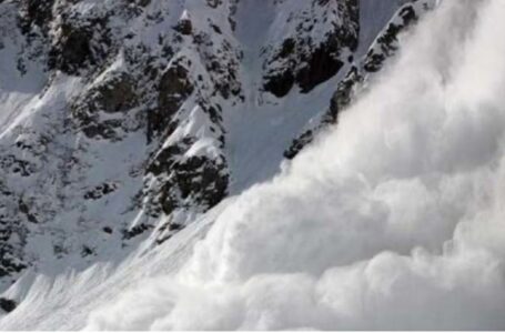 हिमाचल के अंशुल कैनथाला समेत 10 और पर्वतारोहियों के शव बरामद