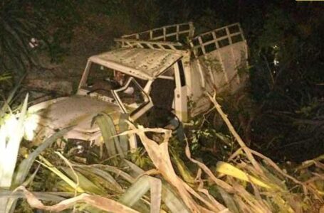 थांटी-लहसा मार्ग पर एक पिकअप दुर्घटनाग्रस्त हुआ पिकअप में सवार एक युवक की मौत , दो लोग घायल