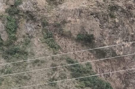 टोंस नदी में गिरी कार ,शिमला जिले के चार युवकों की मौत