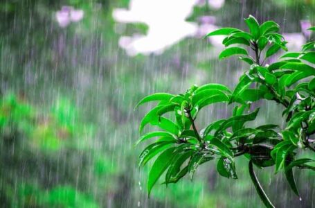 मौसम खराब : प्रदेश में बारिश व ओलावृष्टि का अलर्ट जारी
