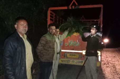 सिरमौर : वन विभाग ने फिर पकड़ी Polystichum Fern से लदी Pickup