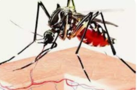 लगातार बढ़ रहे डेंगू के मामलों से स्थिति चिंताजनक