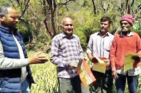 लहसुन की फसल पीली पड़ने से ,किसानों की आर्थिक स्थिति होगी प्रभावित